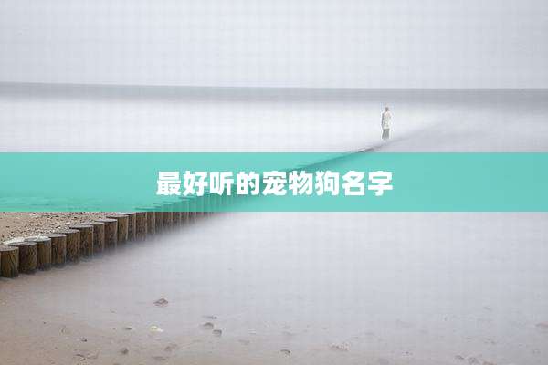最好听的宠物狗名字