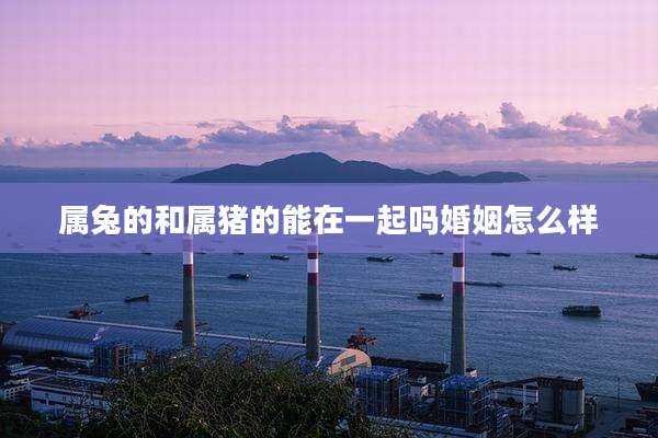 属兔的和属猪的能在一起吗婚姻怎么样