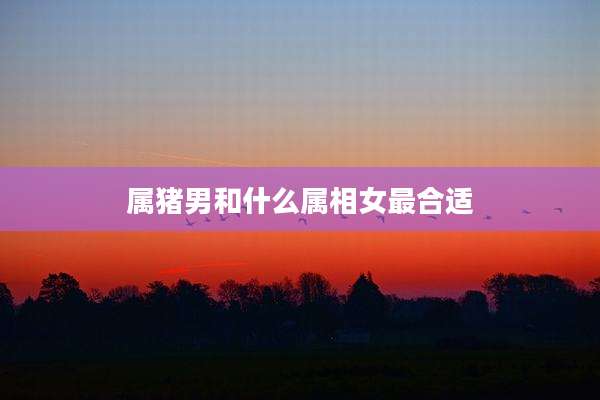 属猪男和什么属相女最合适