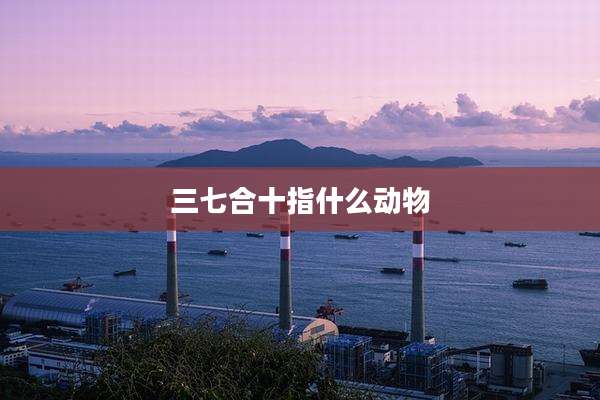 三七合十指什么动物