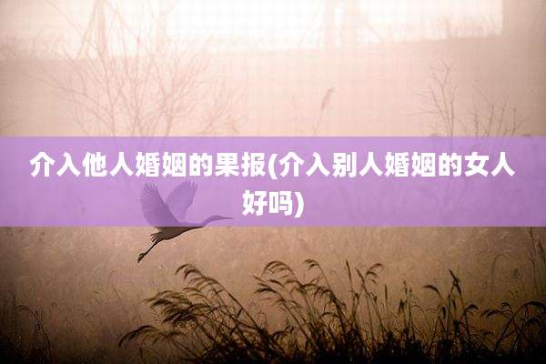 介入他人婚姻的果报(介入别人婚姻的女人好吗)