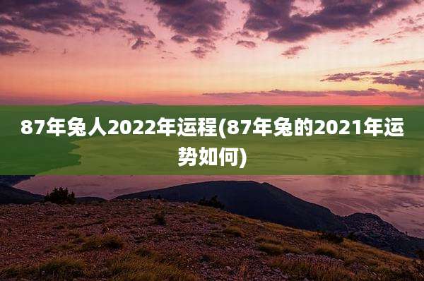 87年兔人2022年运程(87年兔的2021年运势如何)