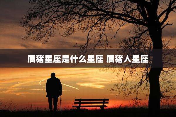属猪星座是什么星座 属猪人星座