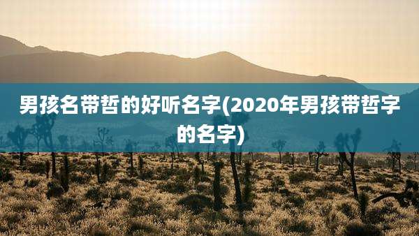 男孩名带哲的好听名字(2020年男孩带哲字的名字)