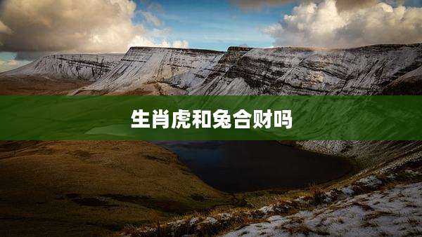 生肖虎和兔合财吗