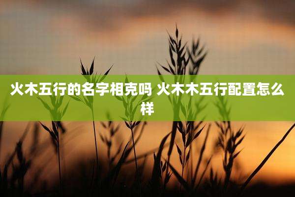 火木五行的名字相克吗 火木木五行配置怎么样