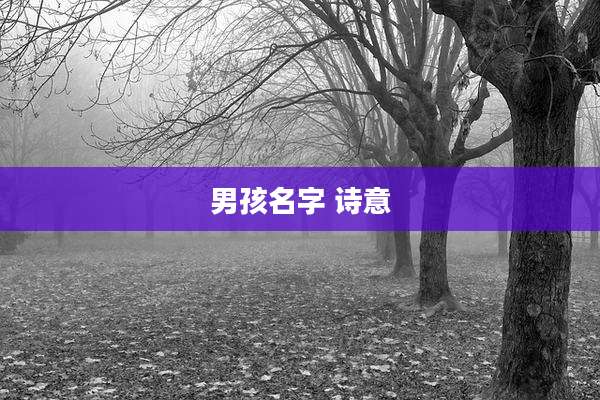 男孩名字 诗意