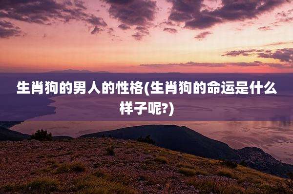 生肖狗的男人的性格(生肖狗的命运是什么样子呢?)