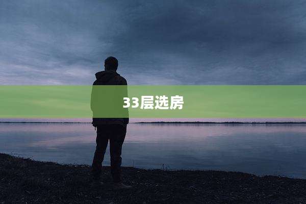 33层选房