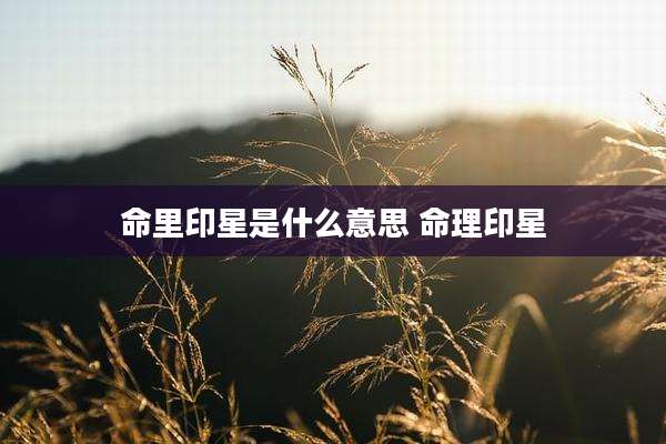 命里印星是什么意思 命理印星