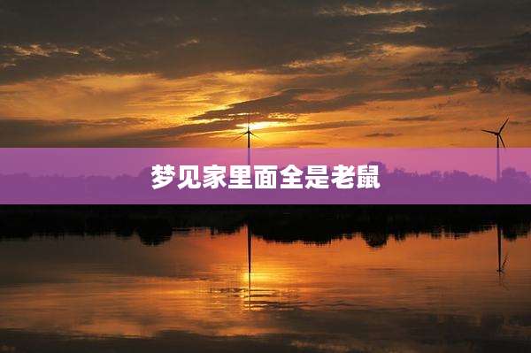 梦见家里面全是老鼠