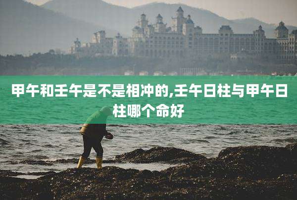 甲午和壬午是不是相冲的,壬午日柱与甲午日柱哪个命好