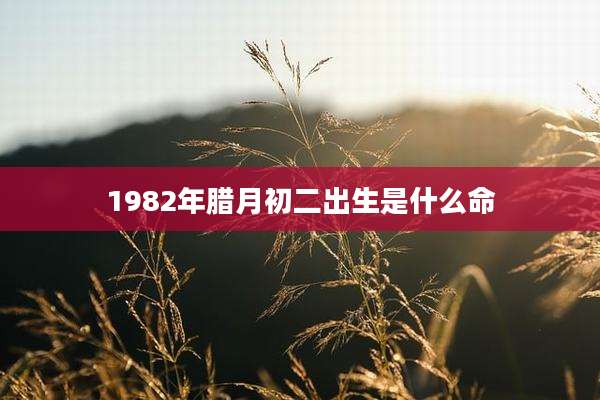 1982年腊月初二出生是什么命