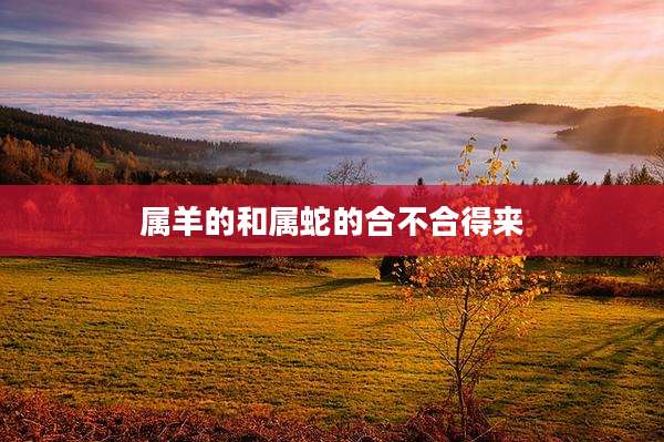 属羊的和属蛇的合不合得来