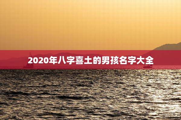 2020年八字喜土的男孩名字大全
