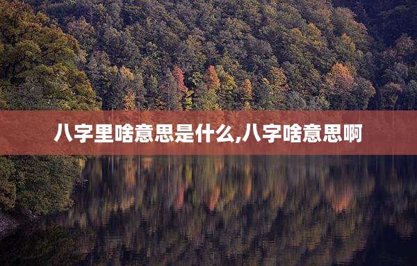 八字里啥意思是什么,八字啥意思啊