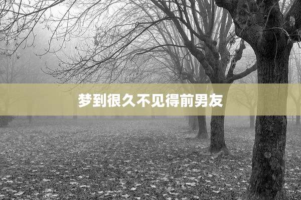 梦到很久不见得前男友