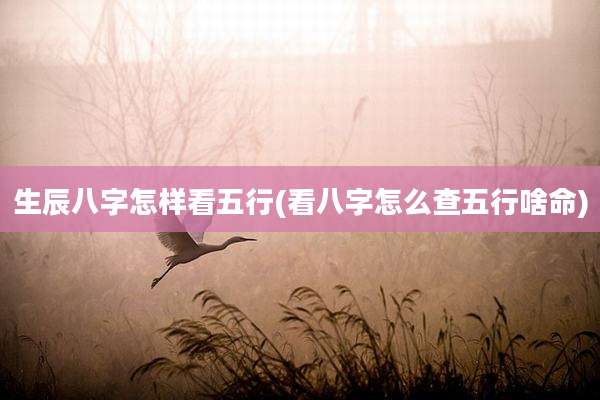 生辰八字怎样看五行(看八字怎么查五行啥命)