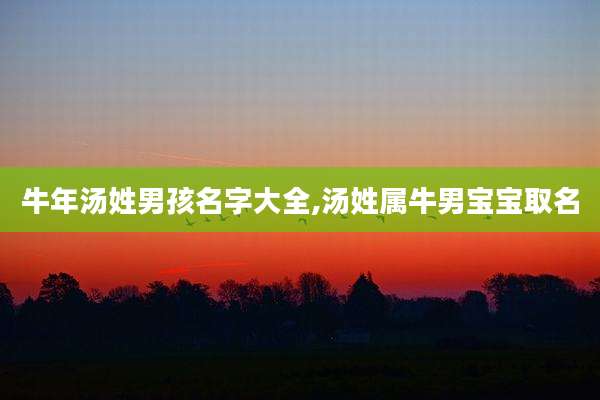 牛年汤姓男孩名字大全,汤姓属牛男宝宝取名
