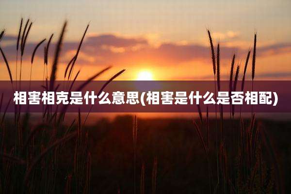 相害相克是什么意思(相害是什么是否相配)