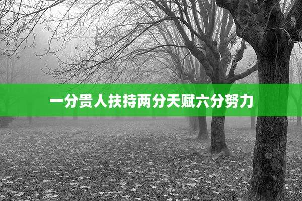 一分贵人扶持两分天赋六分努力