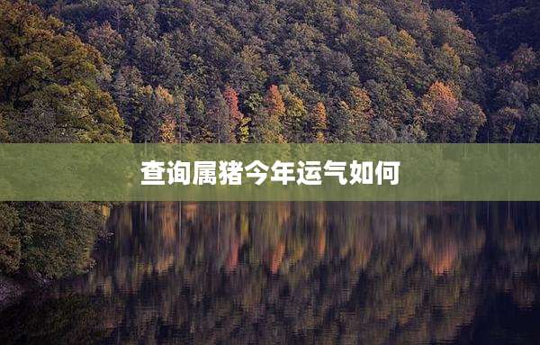 查询属猪今年运气如何