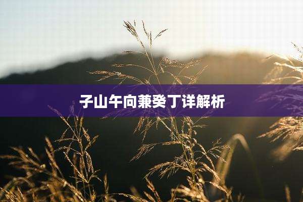 子山午向兼癸丁详解析