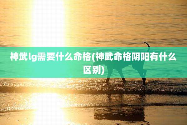 神武lg需要什么命格(神武命格阴阳有什么区别)