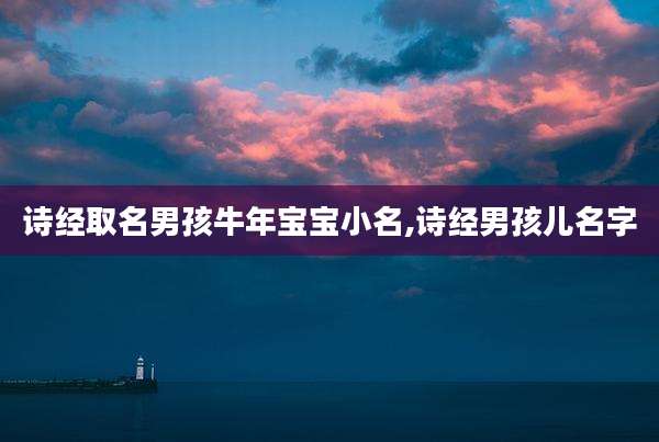 诗经取名男孩牛年宝宝小名,诗经男孩儿名字