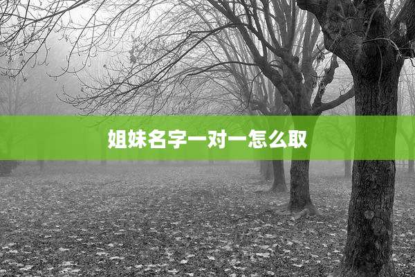 姐妹名字一对一怎么取