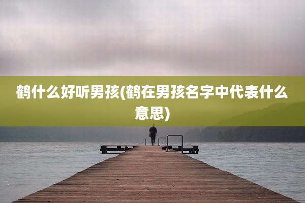 鹤什么好听男孩(鹤在男孩名字中代表什么意思)