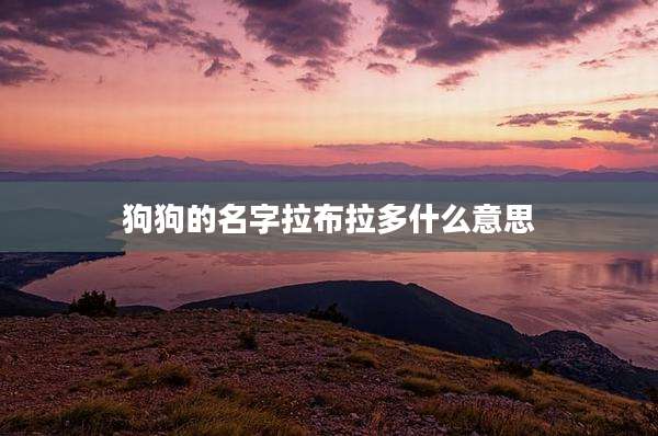 狗狗的名字拉布拉多什么意思