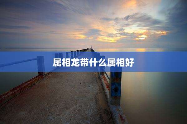 属相龙带什么属相好