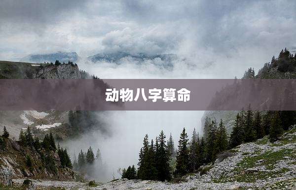 动物八字算命