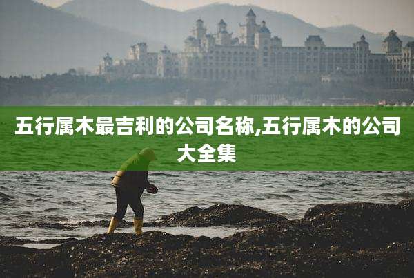 五行属木最吉利的公司名称,五行属木的公司大全集