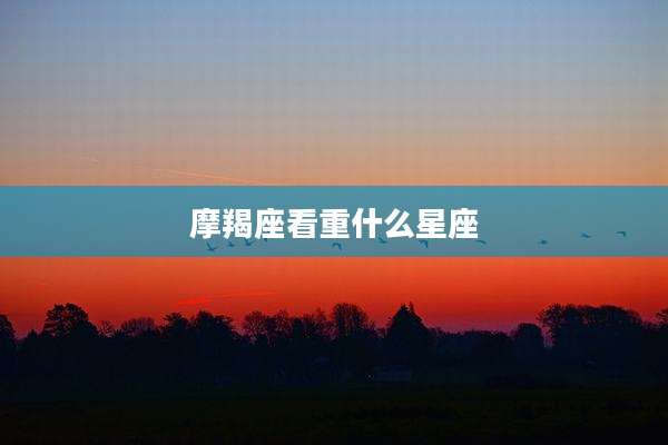 摩羯座看重什么星座
