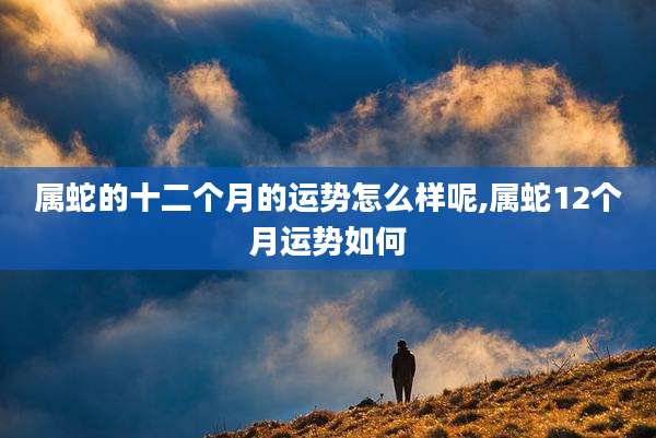 属蛇的十二个月的运势怎么样呢,属蛇12个月运势如何