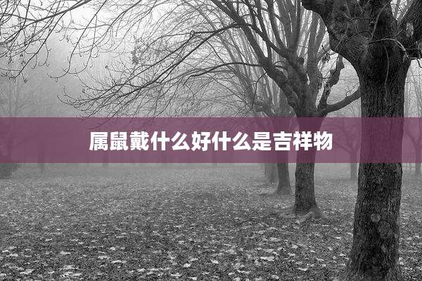 属鼠戴什么好什么是吉祥物