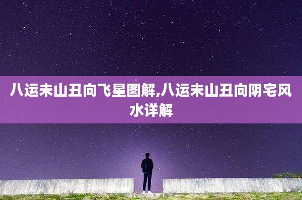 八运未山丑向飞星图解,八运未山丑向阴宅风水详解