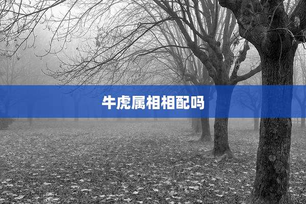 牛虎属相相配吗