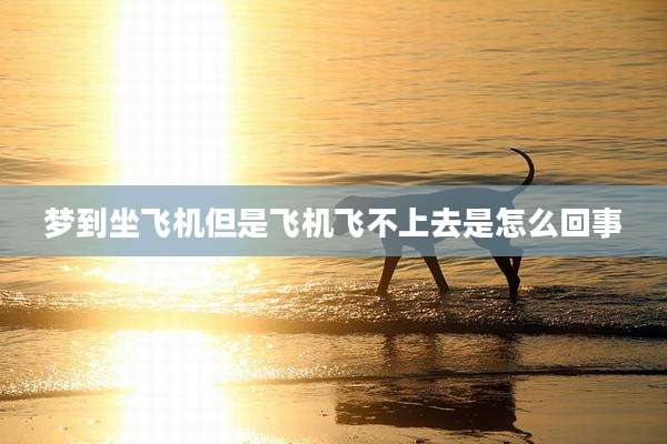 梦到坐飞机但是飞机飞不上去是怎么回事