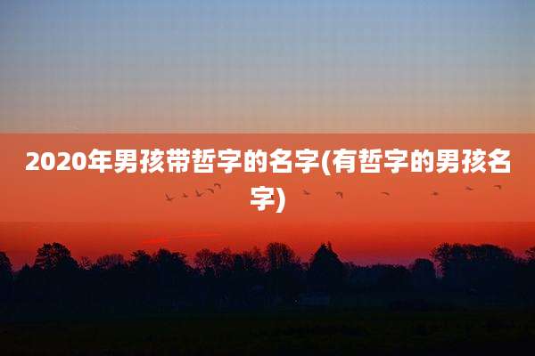 2020年男孩带哲字的名字(有哲字的男孩名字)