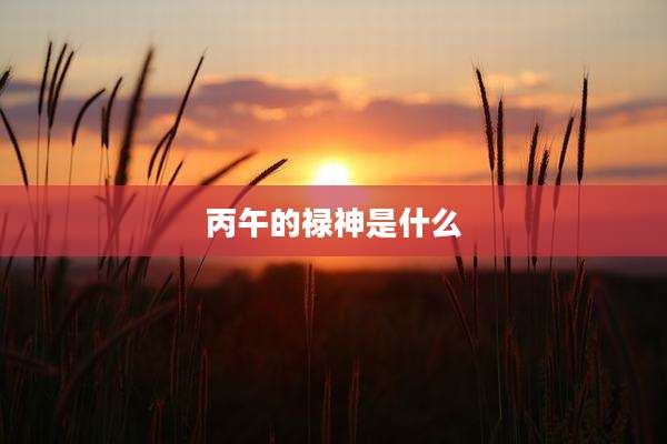 丙午的禄神是什么