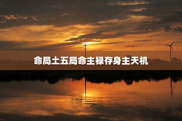 命局土五局命主禄存身主天机