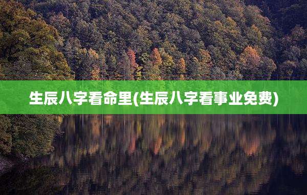 生辰八字看命里(生辰八字看事业免费)