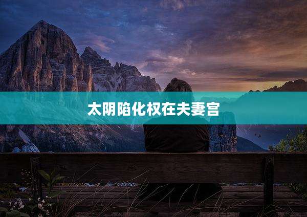 太阴陷化权在夫妻宫