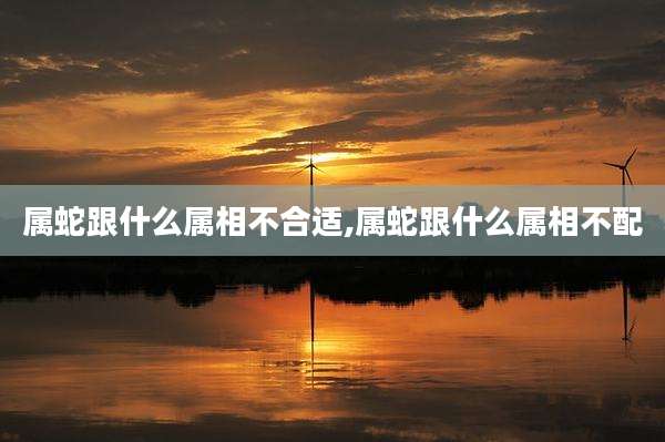 属蛇跟什么属相不合适,属蛇跟什么属相不配