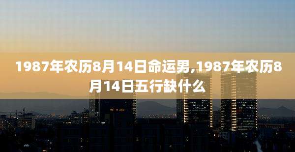 1987年农历8月14日命运男,1987年农历8月14日五行缺什么
