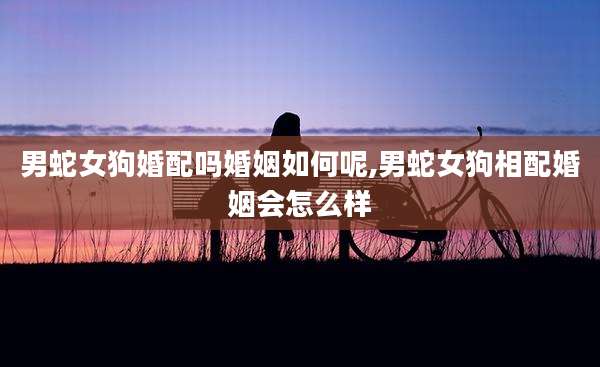 男蛇女狗婚配吗婚姻如何呢,男蛇女狗相配婚姻会怎么样