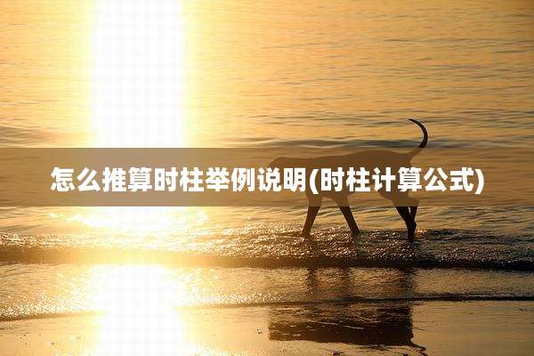 怎么推算时柱举例说明(时柱计算公式)